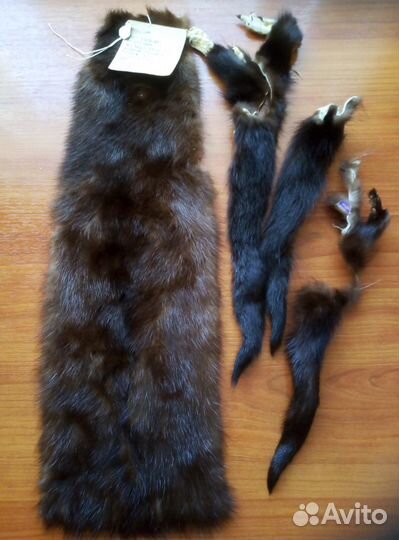 Норка шкурка