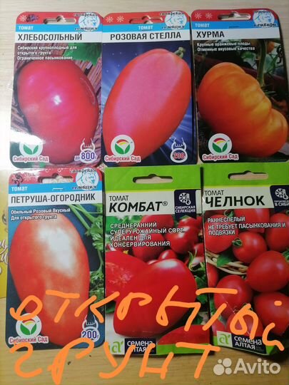 Рассада помидор для теплицы