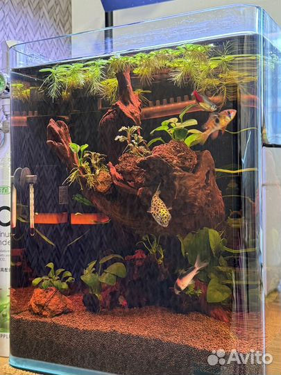 Аквариум
