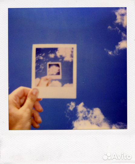 Polaroid 636 close up