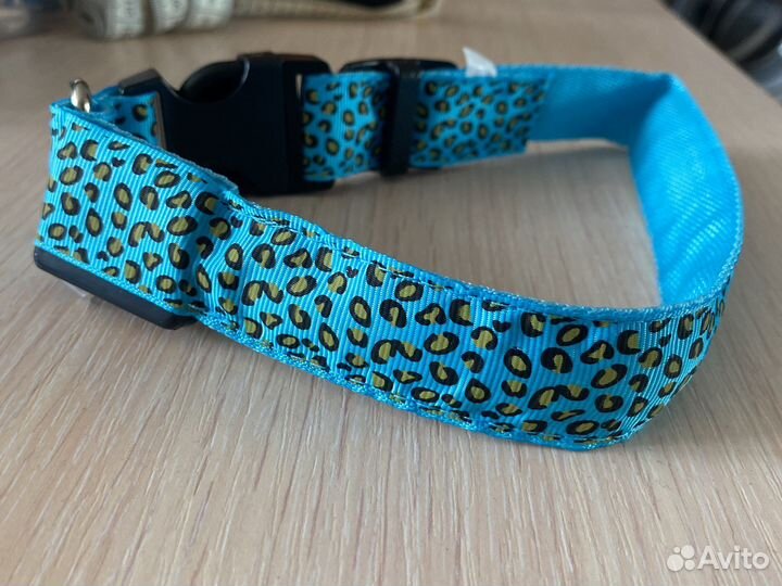 Неоновый ошейник