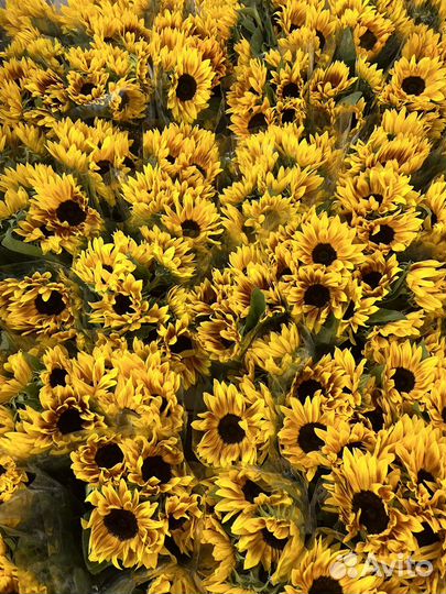 Букет из подсолнухов