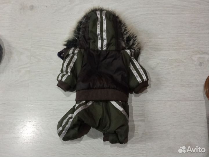 Одежда для маленьких собак