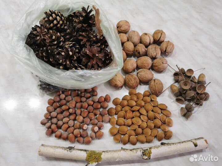 Природные материалы для творчества поделок