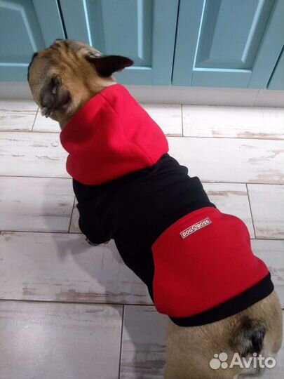 Одежда для собаки