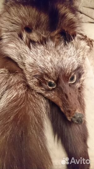 Меховой воротник из чернобурки