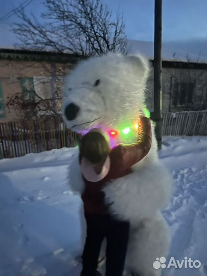 Медведь поздравление