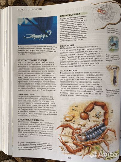 Энциклопедия школьника Большая иллюстрированная