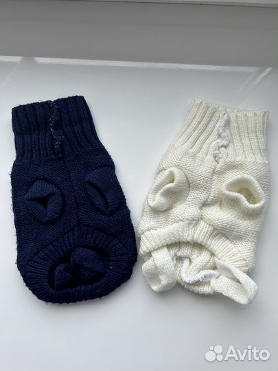 Одежда для животных