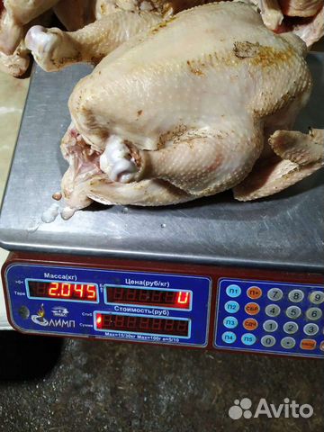 Мясо домашнего бройлера