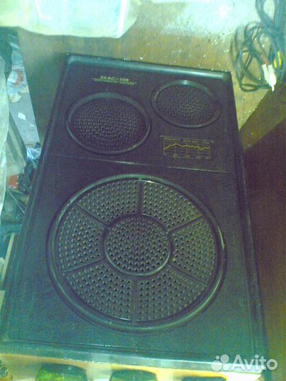 Колонки Вега 25ас-109