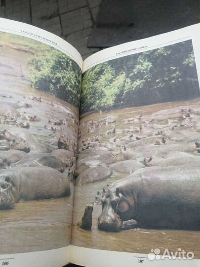 Африка - рай для животных книга энциклопедия