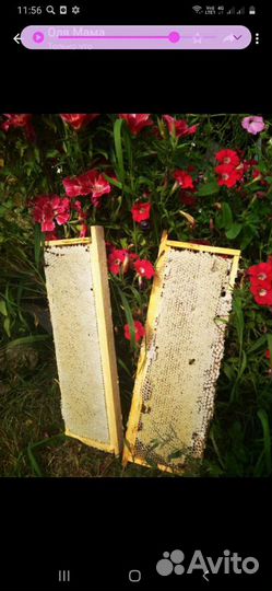 Мёд натуральный