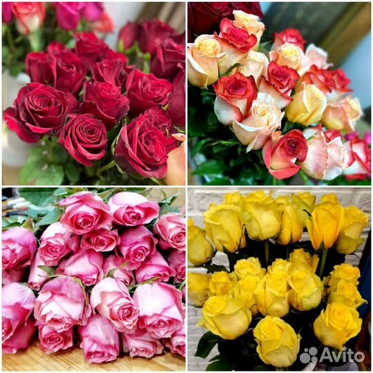 Цветы, Розы, хризантемы, Доставка