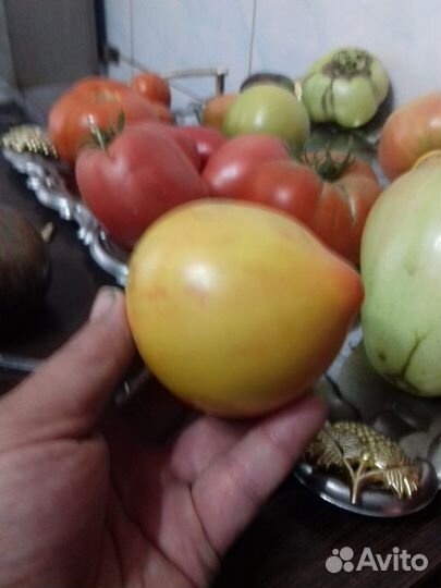 Семена сортовых овощей