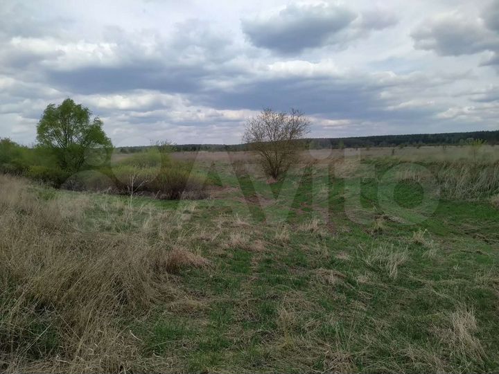 Участок 13 га (СНТ, ДНП)