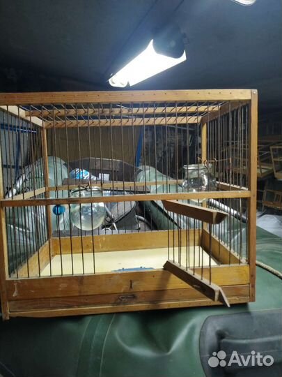 Клетка для канареек