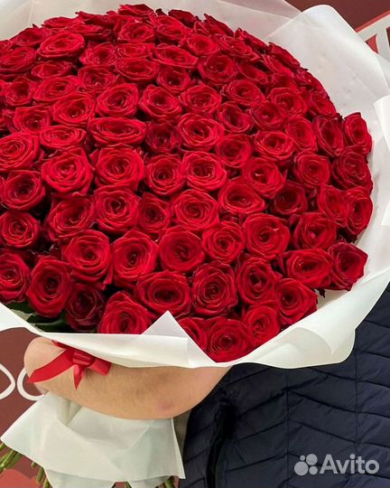 Высокие розы Гигантские розы 110