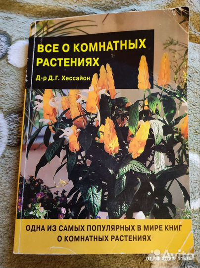 Всё о комнатных растениях