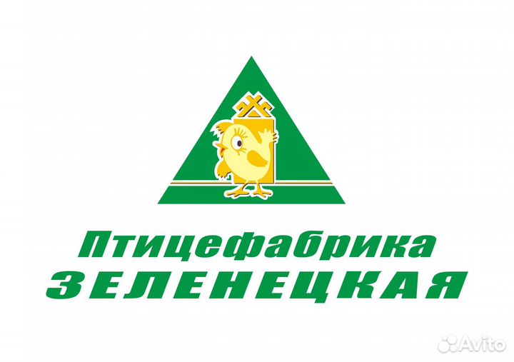 Заведующий здравпунктом