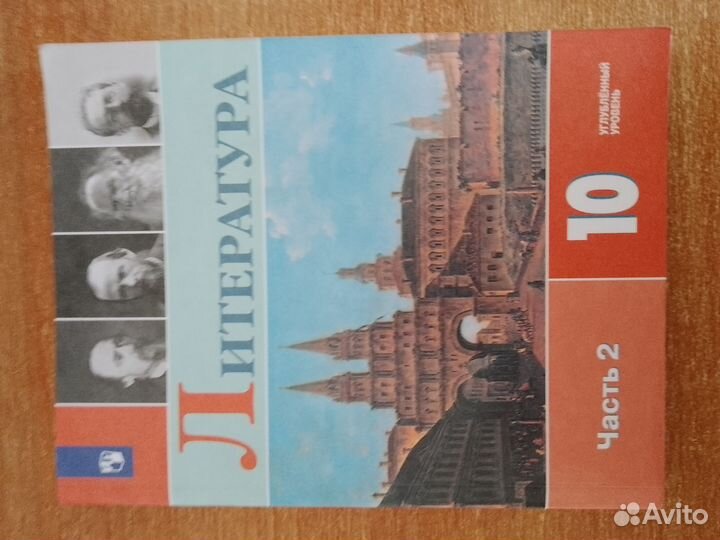 Литература 10 класс коровин