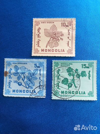 Почтовые марки СССР и мира