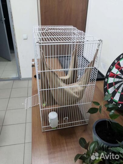 Клетка для грызунов большая