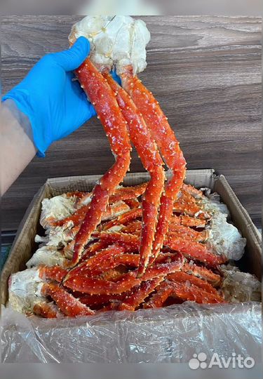 Клешни камчатского краба