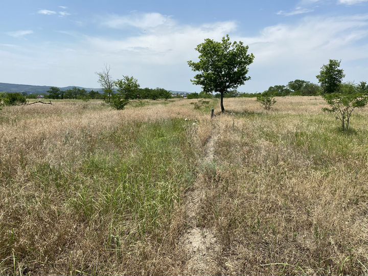 Участок 6 сот. (ИЖС)