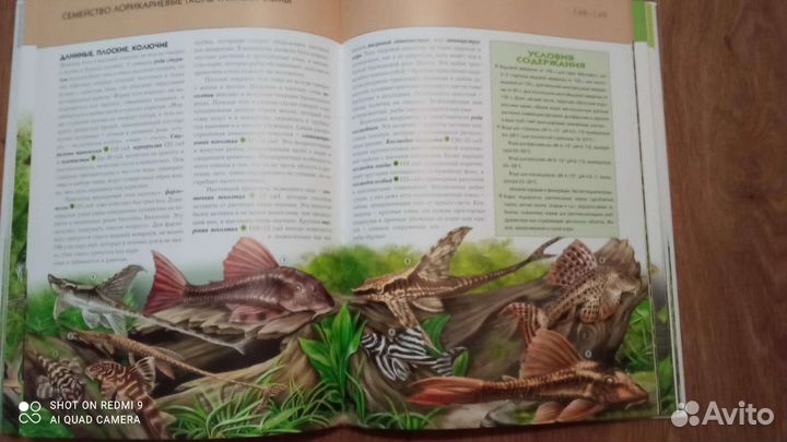 Книга Энциклопедия: Аквариумные рыбки