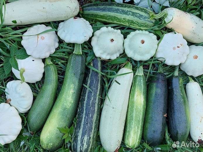 Ягода лесная