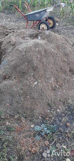 Навоз (помет куриный) в мешках