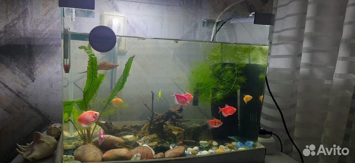Аквариум