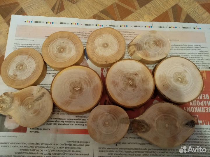 Торцевые спилы деревьев