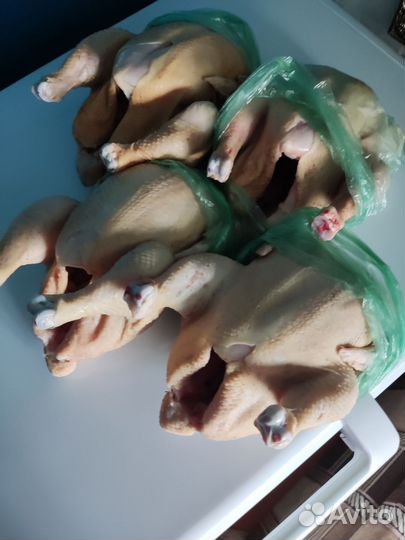 Куры бройлеры тушки мясо