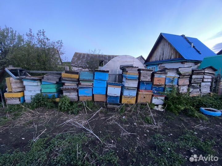 Домики для пчел