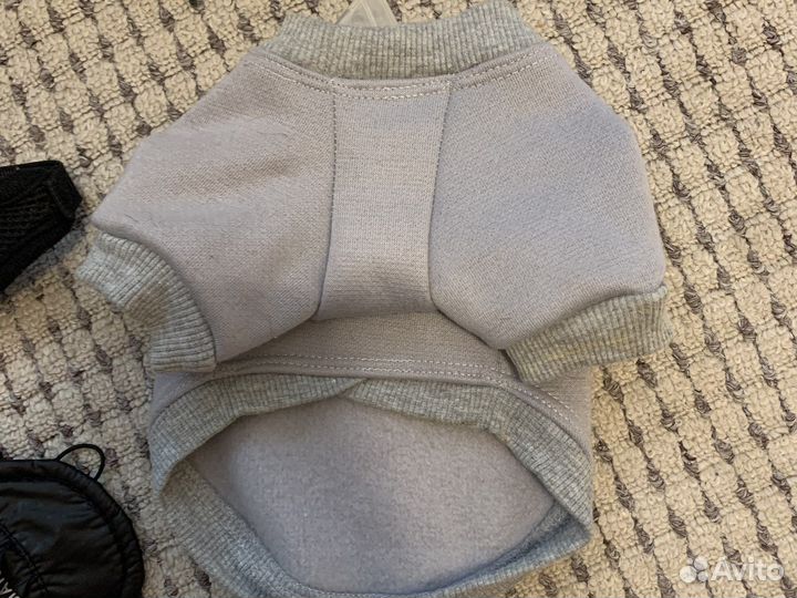 Свитер, шлейка, ошейник, кепка для собак