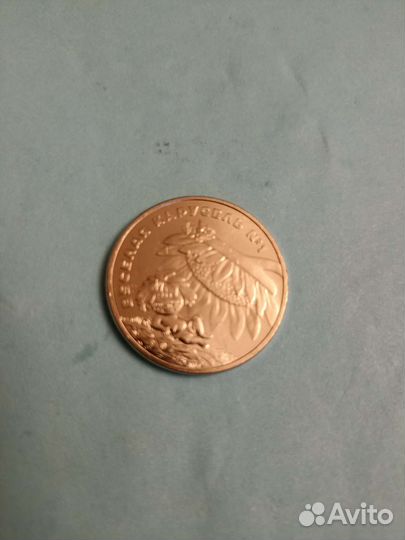 25 р 2022 Антошка