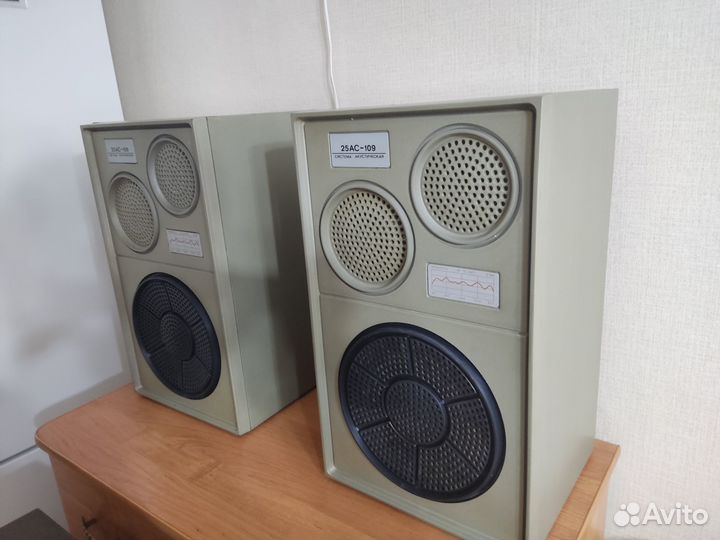 Акустическая система - колонки 25 ас-109/8м