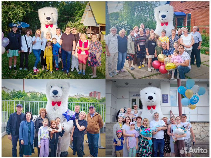 Белый мишка поздравление. Аниматор на праздник