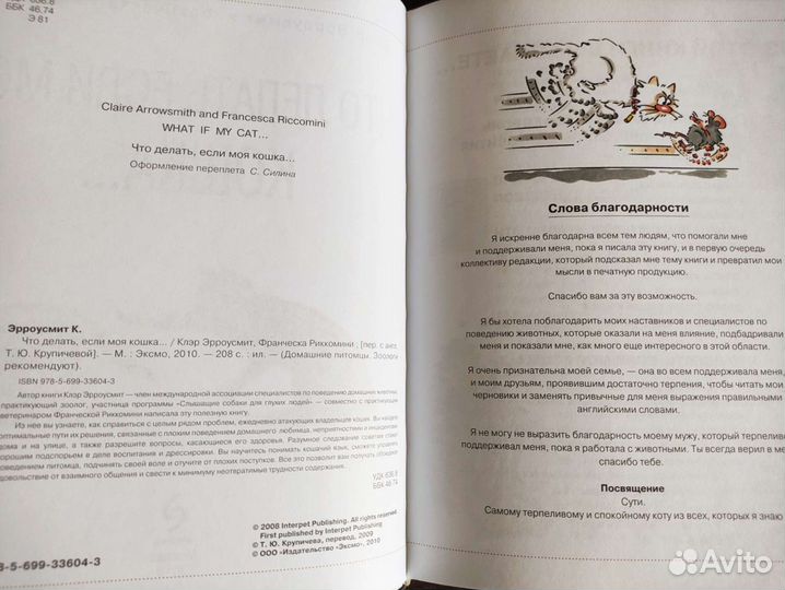 Что делать, если моя кошка