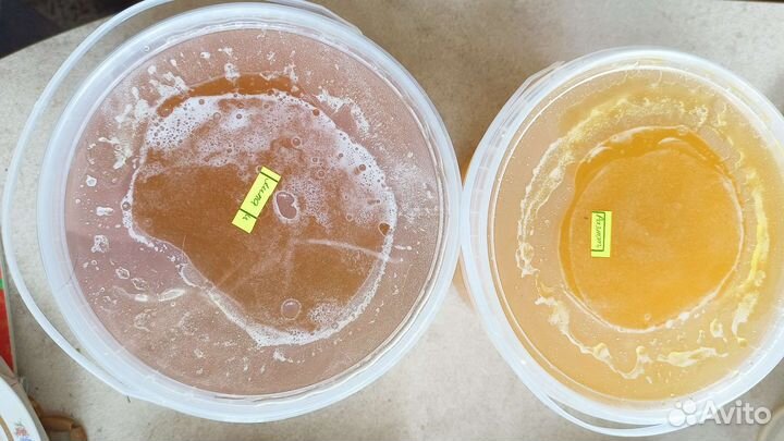 Мёд натуральный