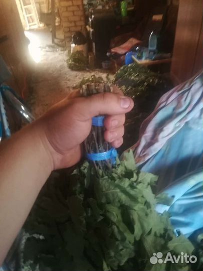 Банные веники