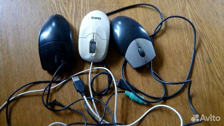 Мышь компьютерная