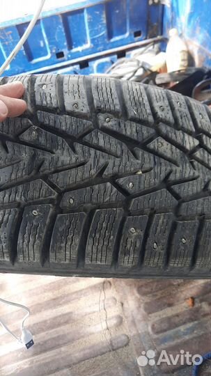 Accelera 651 Sport 17.5/50 204L