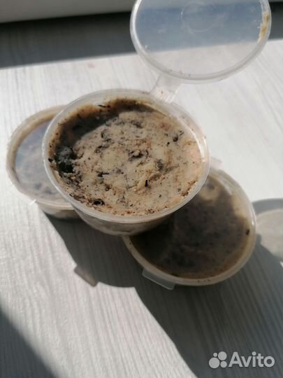 Мазь из огневок