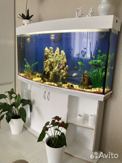 Аквариум с тумбой