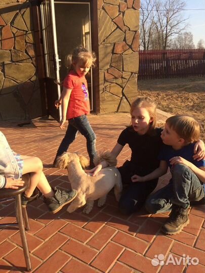 Няня для ребенка, почасовая оплата