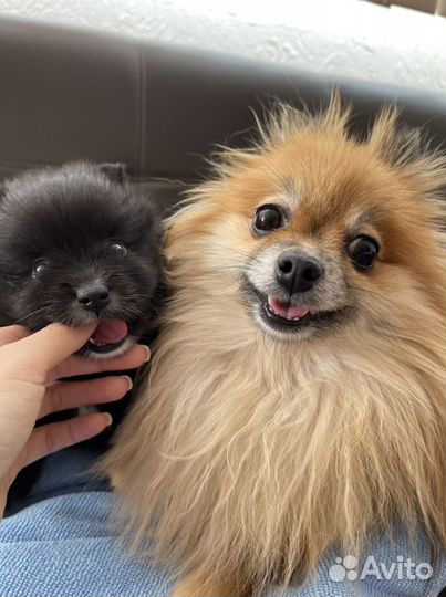 Мальчик ищет подружку