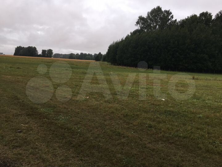 Участок 4,5 га (СНТ, ДНП)